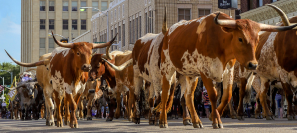 Fun facts about Amarillo, Texas