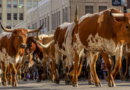 Fun facts about Amarillo, Texas