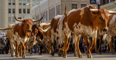 Fun facts about Amarillo, Texas