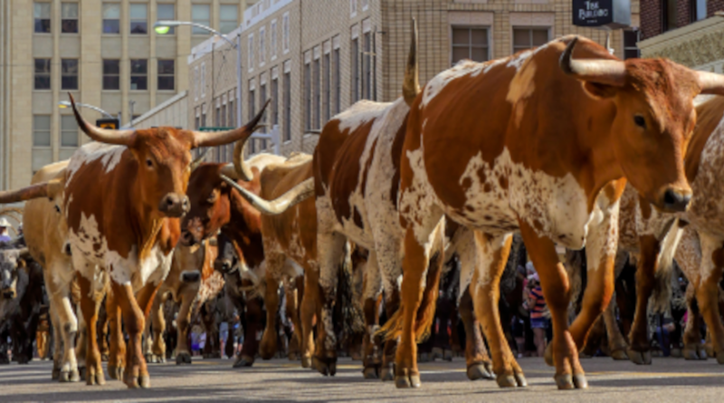 Fun facts about Amarillo, Texas