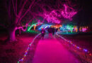 Overland Park Kansas things to do