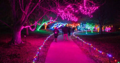 Overland Park Kansas things to do