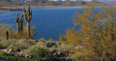 Peoria, Arizona fun facts