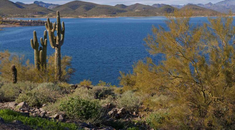 Peoria, Arizona fun facts