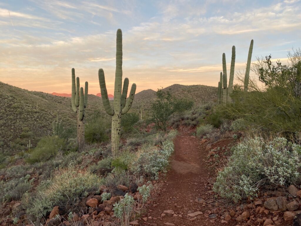 Pipeline Canyon Trail in Peoria Arizona