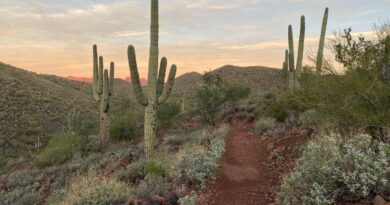 Pipeline Canyon Trail in Peoria Arizona