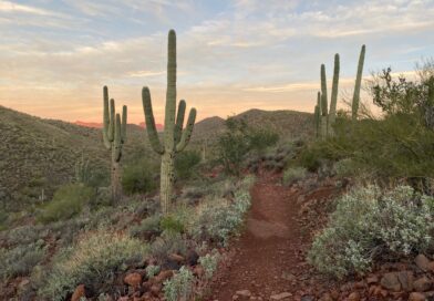 Pipeline Canyon Trail in Peoria Arizona