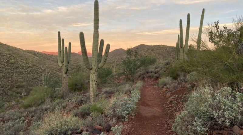 Pipeline Canyon Trail in Peoria Arizona