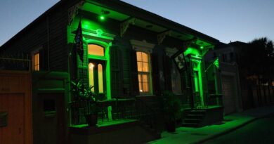 The Unsolved Murders of Diamonique Lewis and Louis Brooks in New Orleans