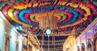 25 Fun Facts About Brownsville TX: Discover the Heart of the Rio Grande Valley