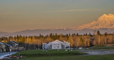 The Mysterious Disappearance of Nancy Moyer: Missing from Tenino, WA Since March 6, 2009