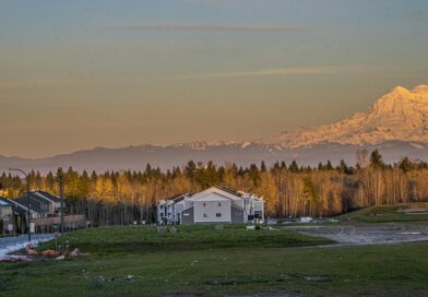 The Mysterious Disappearance of Nancy Moyer: Missing from Tenino, WA Since March 6, 2009