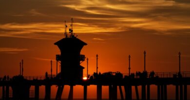 The Ultimate Guide to the Huntington Beach CA Food Scene: Where Surf Meets Flavor