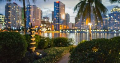 The Tragic Case of Vanessa Aviles: Murdered in Miami, FL on August 30, 2013