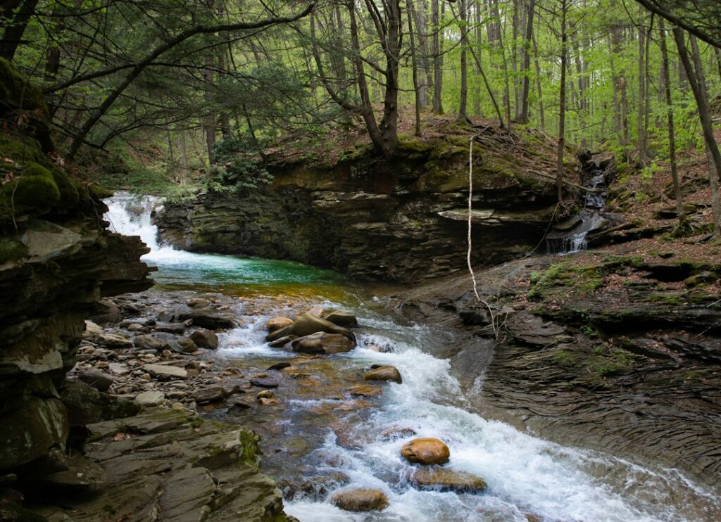 The Mystery of Jesse Farber: Disappearance and Discovery in Tamaqua, PA
