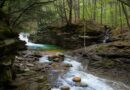 The Mystery of Jesse Farber: Disappearance and Discovery in Tamaqua, PA