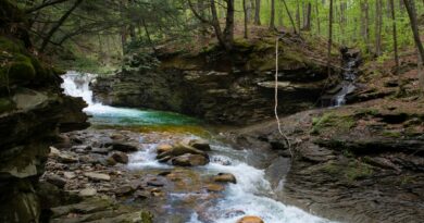 The Mystery of Jesse Farber: Disappearance and Discovery in Tamaqua, PA