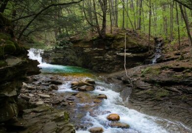 The Mystery of Jesse Farber: Disappearance and Discovery in Tamaqua, PA
