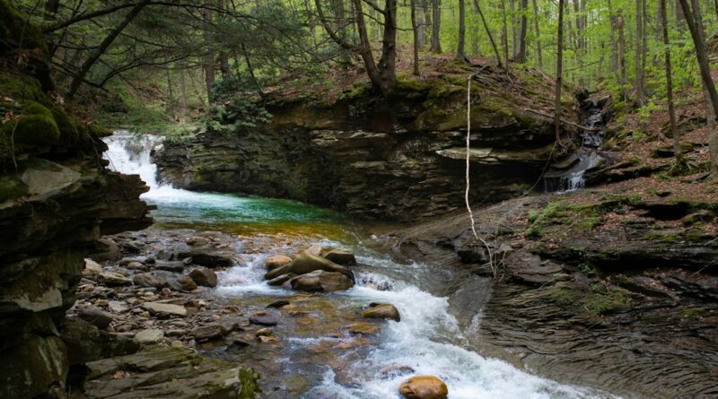 The Mystery of Jesse Farber: Disappearance and Discovery in Tamaqua, PA
