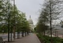 The Murder of Bryan Perkins: A Tragic Night in Washington, DC, July 17, 2015