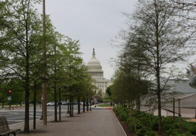 The Murder of Bryan Perkins: A Tragic Night in Washington, DC, July 17, 2015