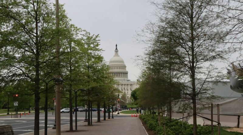 The Murder of Bryan Perkins: A Tragic Night in Washington, DC, July 17, 2015