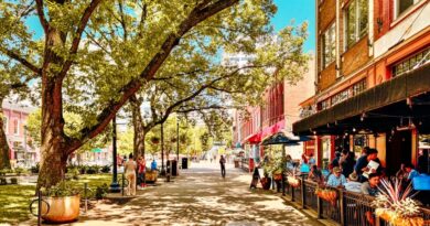 25 Things to Do in Clarksville TN: Your Ultimate Guide to Adventure and Culture