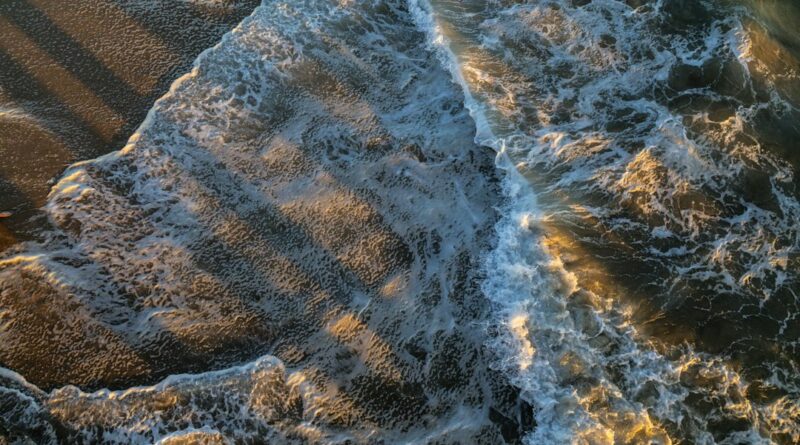 25 Fun Facts About Huntington Beach, CA: Surf City USA’s Best-Kept Secrets