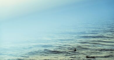 Top Tourist Destinations and Attractions in Huntington Beach, CA